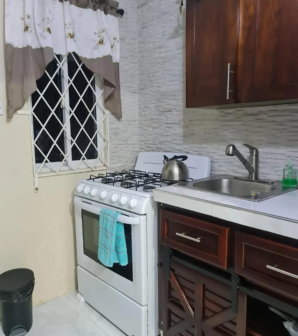 Kozy Kottage Apartment Mandeville